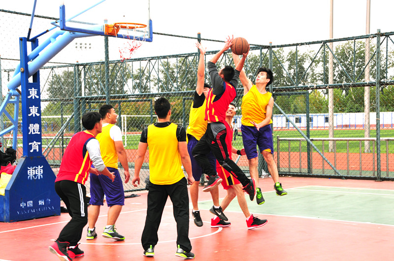 腾博会官网 - 诚信为本,专业服务!