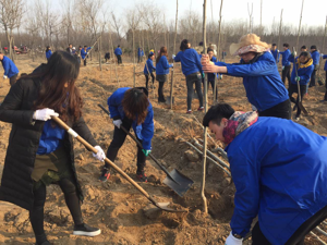 腾博会官网 - 诚信为本,专业服务!