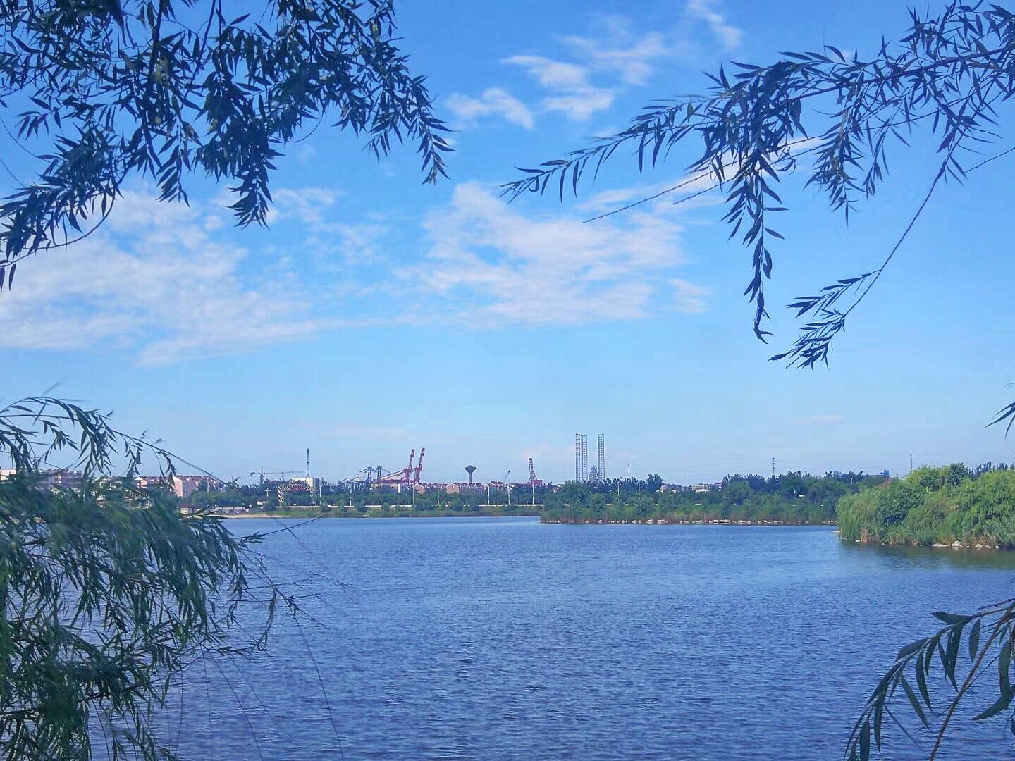 腾博会官网 - 诚信为本,专业服务!