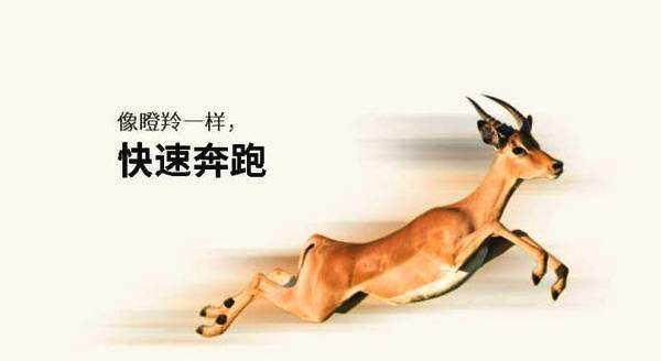 腾博会官网 - 诚信为本,专业服务!